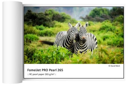 Fotopaber FOMEI Pro Pearl 205 10X15 cm 50 lehte