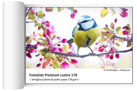 Fotopaber FOMEI FomeiJet Premium Lustre 170 43,2cm X 30,5m